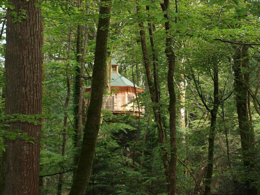 Les Cabanes De Kermenguy Cléder Room photo
